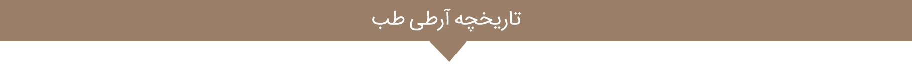artiteb-history-2